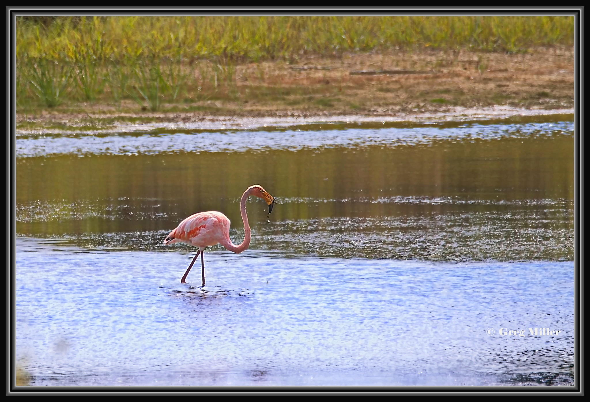 53186110749_672d337420_k (1).jpg