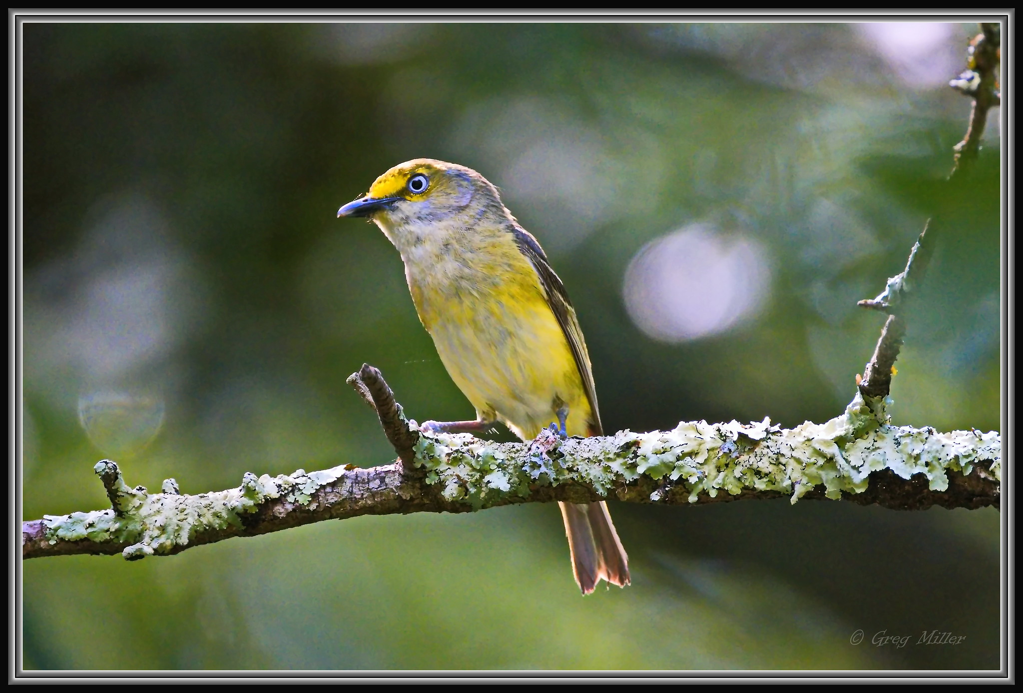 54626699157_d2ea00d7c4_k (2).jpg