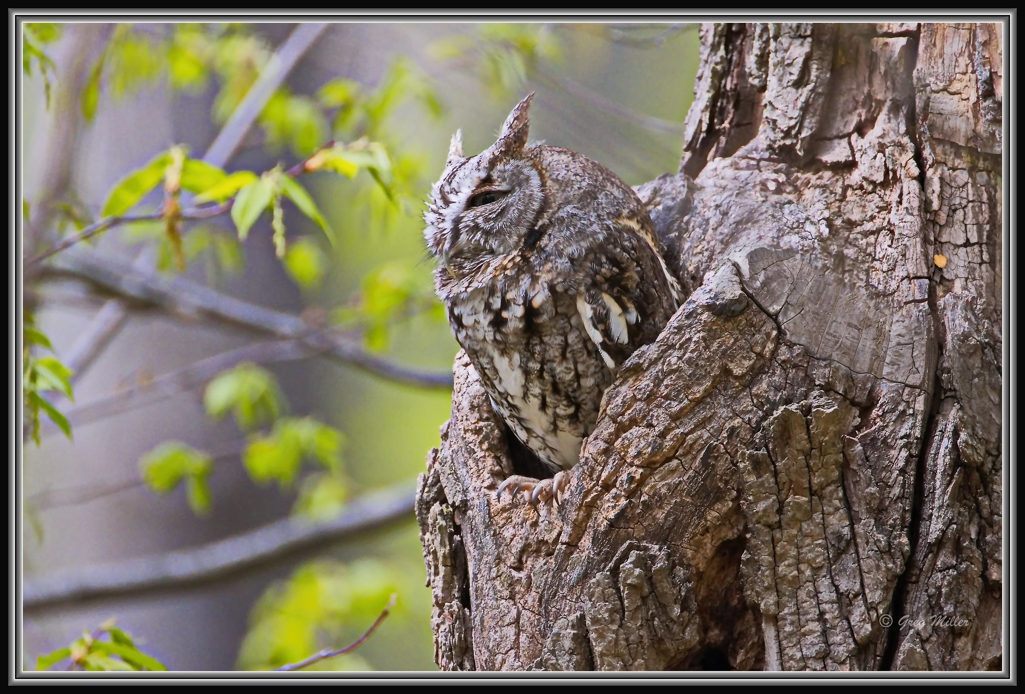 54476820414_480e110d1c_k (1).jpg