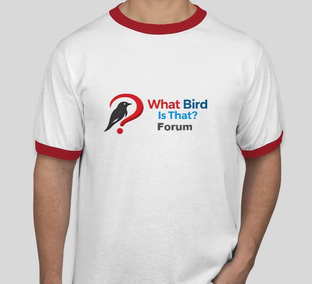 wbitfshirt.JPG
